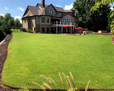 Lawn/Landscape Maintenance, Buford, GA